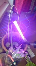 Grow-Light Phyto-Lamp Greenhouse-Vegetable-Seedling-Plant-Lighting USB Full-Spectrum