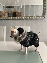 Coat Dogs-Clothing Dot-Pattern Winter Hooded Pet-Dogs New Xl To High-Quality