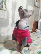 Coat Pet-Dog-Jacket Winter Puppy Hood-Size Warm with 8-18 5-Colors Thickening