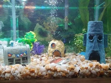 Decoration Ornament Krab-Figure Pineapple-House Aquarium Fish-Tank Krusty Cute Cartoon
