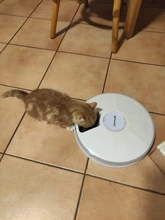 Pet-Feeder Food-Dispenser Dog Automatic Rabbit Cat 6-Grids 24h-Timer Wet Electric-Dry