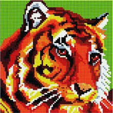 Алмазная мозаика BF 645 Тигр 20*20