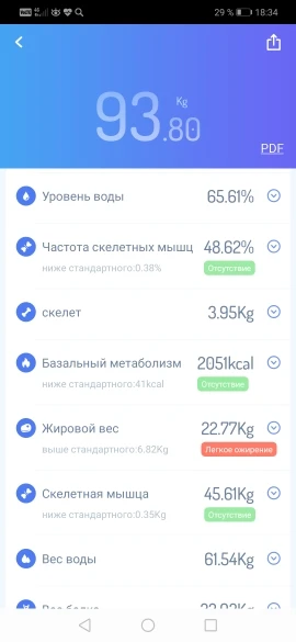 весы gason s4