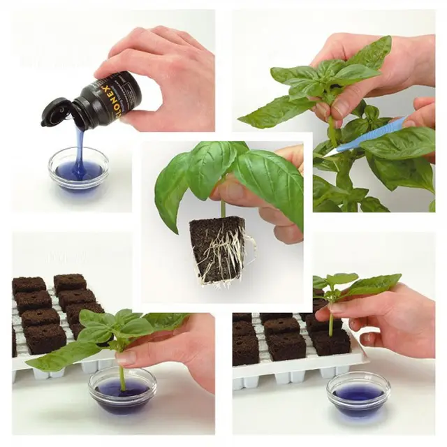 Clonex 50 Ml Gyökérstimulátor Gél Hormonokkal, Hogy A Dugványokat És Klónokat Kiszorítsák Klónok Szövete. Gyökérhormon, Klónozó Növényekhez - Image 3