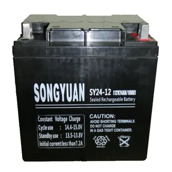 

Rechargeable sealed lead battery 12V / 24Ah REF SY24-12 mm x 165mm x 125mm largoxanchoxalto
