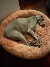 Pet-Mats House Sofa Dog-Bed Labrador Animals Plush Chihuahua Large Round Soft Coral Long
