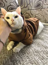 Warm Pet Clothes For Cats Clothing Autumn Winter Clothing for Cats Coat Puppy Outfit