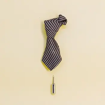 

Brooch on lapel tie 50762 (Gray, needle, cotton)