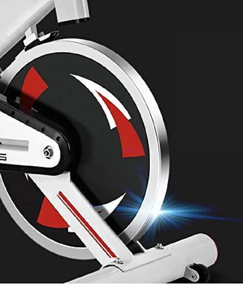 Bastante Implacable Ventana mundial FIT FORCE Bici Spinning X24KG con Volante de inercia de 24kg Negro, uso  doméstico, pantalla LCD con medición de velocidad, tiempo y distancia  recorrida, estructura resistente., Sillín anatómico y regulable,|Bicicletas  fijas de