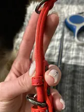 Collar Pet-Products Puppy Engraved French Bulldog Small Dogs Custom Personalized Pug