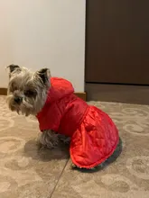 Abrigo con tutú y estampado de leopardo para perros y cachorros ropa de invierno con capucha, chaqueta reversible para perros pequeños