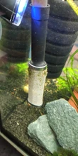 FILTER-TUBE AQUARIUM-FILTER Shrimp-Guard-Protect Fish-Tank Mash Metal Stainless-Steel