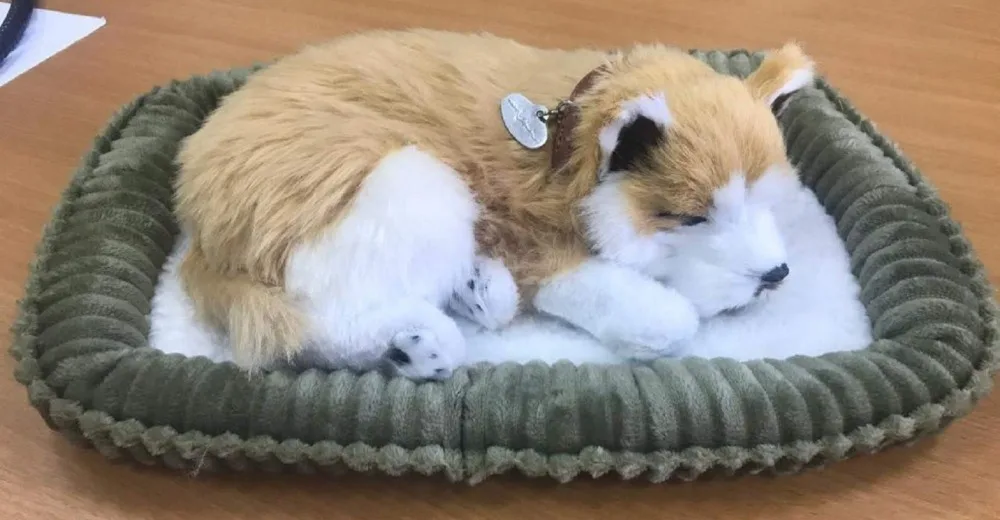 Щенок Сиба-ину с дыханием PerfectPetzzz