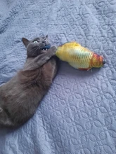 Electronic Cat Toy 3D Fish Electric Simulation Fish Toys for Cats Pet Playing Toy cat