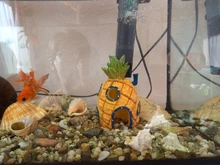 Aquarium-Decoration Shrimp Nest Fish-Tank-Decor Pineapple-House Comic-Plants Fish Hiding