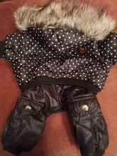 Coat Dogs-Clothing Dot-Pattern Winter Hooded Pet-Dogs New Xl To High-Quality