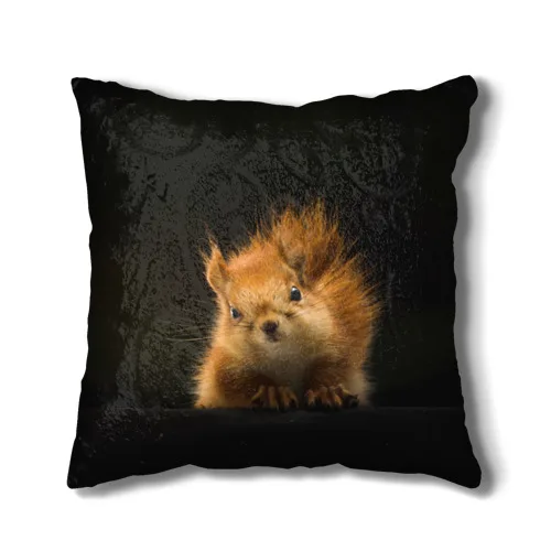 Подушка 3D Белочка |