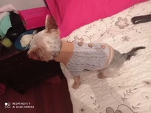 Sweater Puppy-Hoodie Dog-Jumper Winter Knited Small Cat with Cartoon-Design Warm Apparel