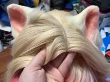 L-Email Wig Blonde Ahri Cosplay Synthetic-Hair KDA Baddest Heat-Resistant with LOL Ears