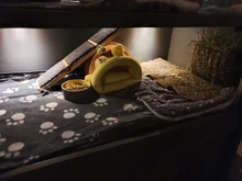 Manta de franela para mascotas, forro polar grueso suave, para cachorro, perro, gato, sofá, cojín, alfombra para el hogar, funda para dormir que mantiene el calor