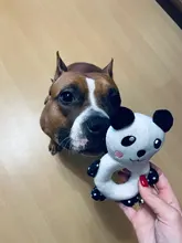 Juguete para masticar para entrenamiento de perros, juguete de felpa interactivo para perros, juguetes masticables para mascotas para perros pequeños y grandes