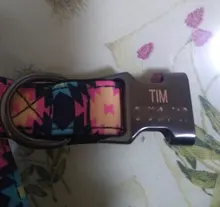 Collar para perro personalizado de nailon, con grabado impreso, identificativo, para cachorros, pequeños, medianos y grandes