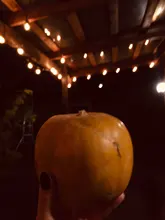 Light Festoon-Bulb Globe Fairy-String-Light Wedding-Decorative Garden Garland Christmas-G40