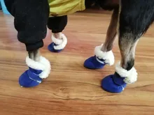Botas impermeables para perros, zapatos para perros, antideslizantes, para cachorro, gato, lluvia, nieve, calzado para perros pequeños, Chihuahua, 4 Uds.