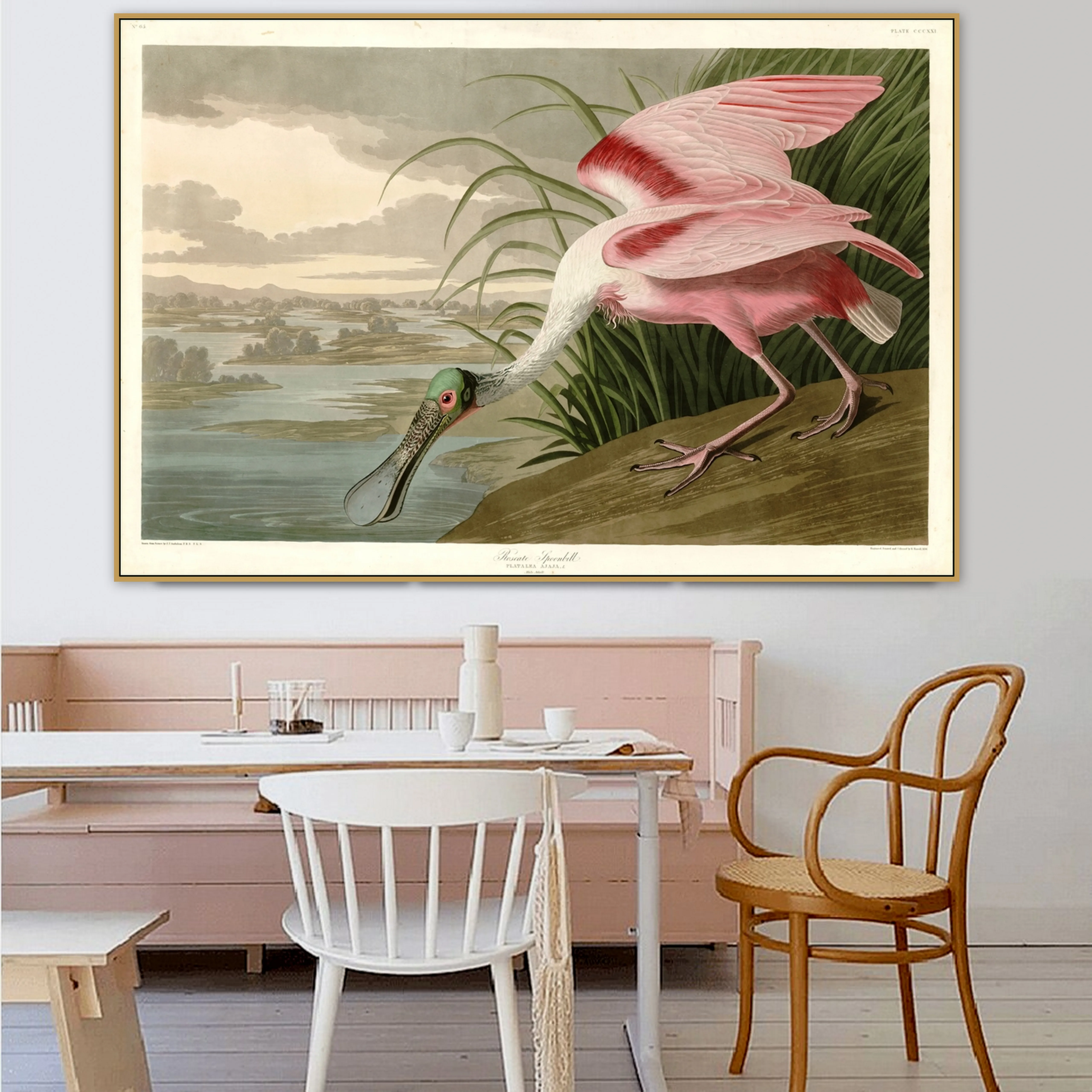 John James Audubon старый известный мастер художника Роузе Spoonbill холст картина печатный