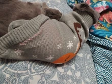 Pet Cat Reindeer Sweater Winter Warm Cat Clothes for Cats Kedi Outfit katten Clothing