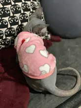 Cat Coats Jacket Dog-Costumes-Clothes Pet-Supplies Small Dogs Fleece Cartoon Autumn/winter