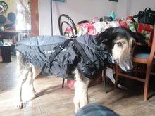 Pet-Dog-Clothes Clothing Walking-Harness Dogs Outdoor Waterproof Large Winter Medium