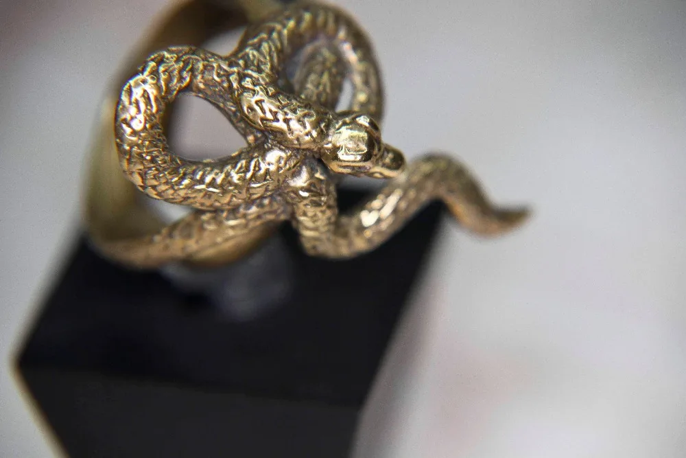 Кольцо жадного змея dark. Золотое кольцо жадного змея Dark Souls. Золотое кольцо жадного змея Dark Souls 3. Змеиное кольцо. Кольцо с жадным змеем.
