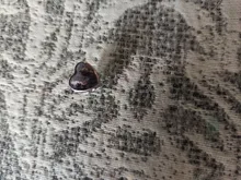 ELESHE 100% de Plata de Ley 925 del encanto del grano Fit Original Pandora pulsera foto personalizada DIY de corazón de cristal de perlas de joyería