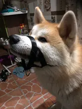 Training Leash Harness Leader-Belt Head-Collar Muzzle Dog Adjustable No-Pull-Bite HALTER