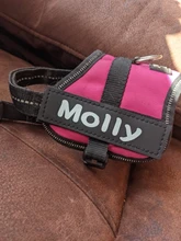 Label Sticker Harness Name-Tag Custom K9 Personalized PU 2pcs Pet-Dog