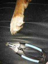 Cortador de uñas con garra para mascotas, cortador de uñas para pies, perro, gato, conejo, Toenail, herramienta de aseo de animales, recortador, cizalla para loros y pájaros gerbidos, 1 ud.