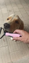 Peine con nudo abierto de doble cara para mascotas, herramienta de cepillado y caída de pelo para perros, peine para depilación de gatos, cepillo de doble cara de acero inoxidable, piel larga mate