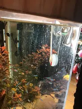 Fish-Feeder Automatic Food-Feed-Tool Red Cup Funnel with Suction-Cup Tapered