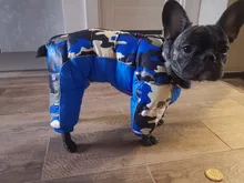 Winter Pet Dog Coat Jacket Thicken Warm Clothes For Dogs Waterproof Reflective Puppy