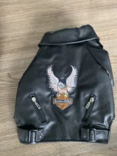 Jacket Dog-Coat Puppy Eagle-Pattern Waterproof Outdoor Outerwear Pet Small Soft Fashion