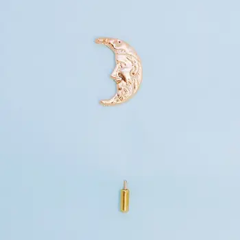

Brooch for lapel moon 50496 (Golden, needle, jewelery alloy)