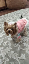 Dog Cat Winter Warm Coat Jacket Dress Pet Puppy Hoodie Winter Warm Clothes Apperal