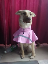 Puppy Raincoat Pets-Clothes Teddy Reflective-Tape Large XS-XXXL Bear-Big