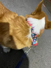 Personalized Fabric Super Strong Durable Martingale Collars for Dogs Heavy Duty Duty