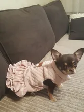 Warm Pet Dog Dress Vest Jacket For Dogs Cats Winter Chihuahua Yorkies Clothes Maltese