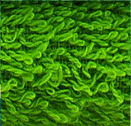 Полотенце "Мир" 40x70 махровое, хлопок - Цвет: Green