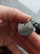 Personalized Engraved Cat Dog Pet ID Tag Dog Anti-lost Collar Charm Pet Name Collar Puppy