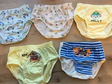 2020, ropa interior para niños, bragas de algodón orgánico para niños pequeños, calzoncillos de dibujos animados para niños, ropa interior para adolescentes Majtki, 5 unids/lote