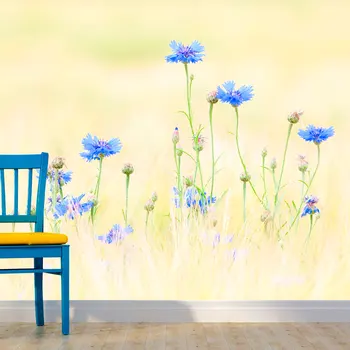 

Wall mural-cornflowers-400x309 cm
